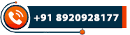 Top SEO Expert Company in Delhi NCR
