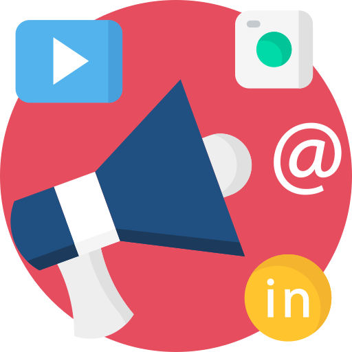 Top SEO Expert Company in Delhi NCR