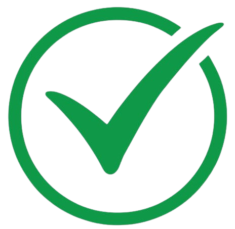 Top SEO Expert Company in Delhi NCR